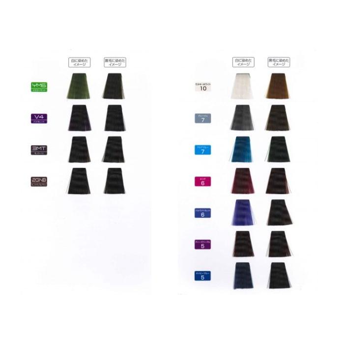 FIOLE（フィヨーレ） BLカラー レッド120G : BeautyPro Magica - 通販