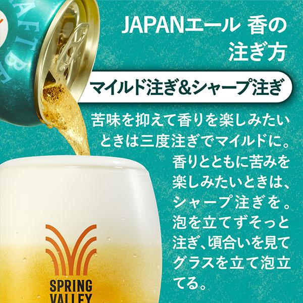 キリン（KIRIN） クラフトビール beer 送料無料 スプリングバレー