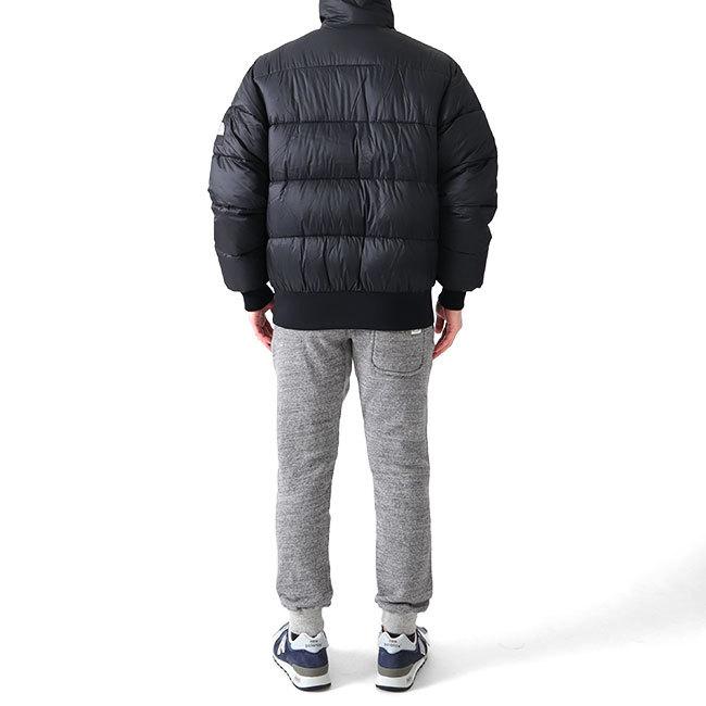 THE NORTH FACE ノースフェイス ラークスパージャケット NY82031