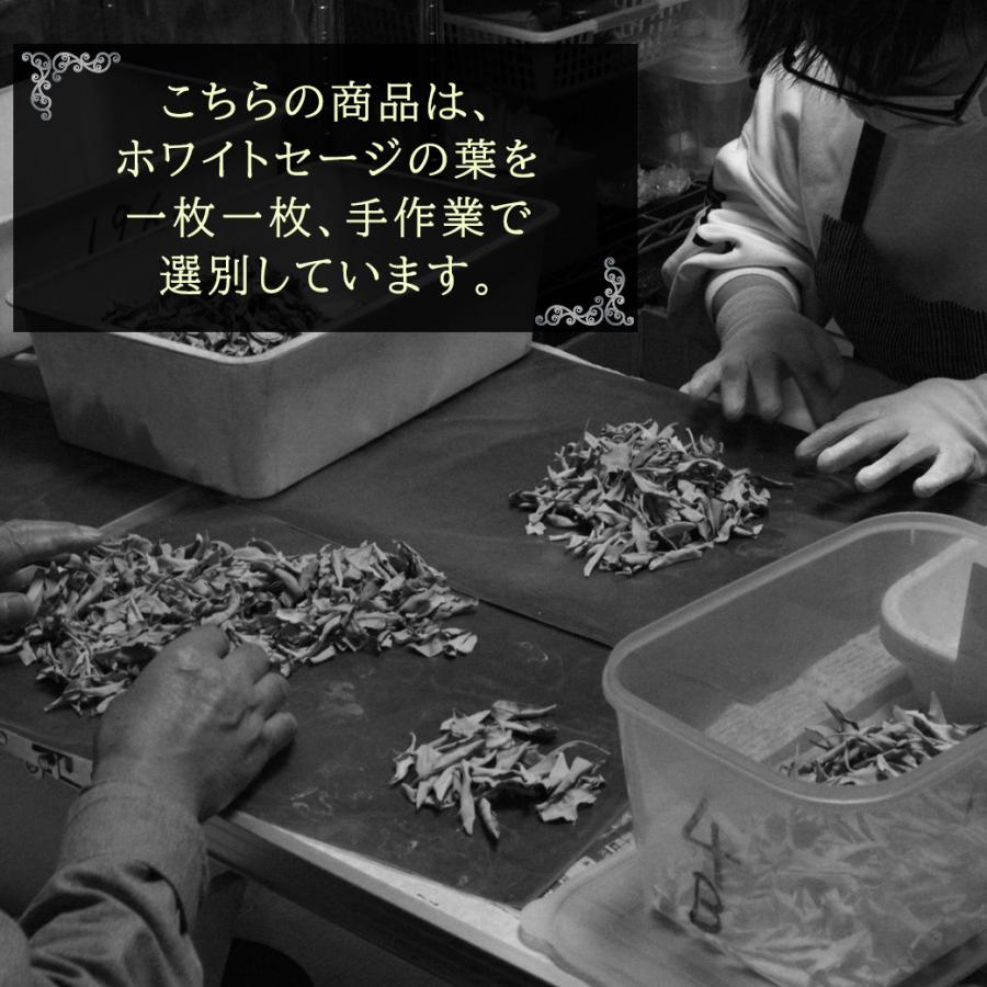 GOLD STONE ホワイトセージ 枝無し 選別済み 無農薬 オーガニック