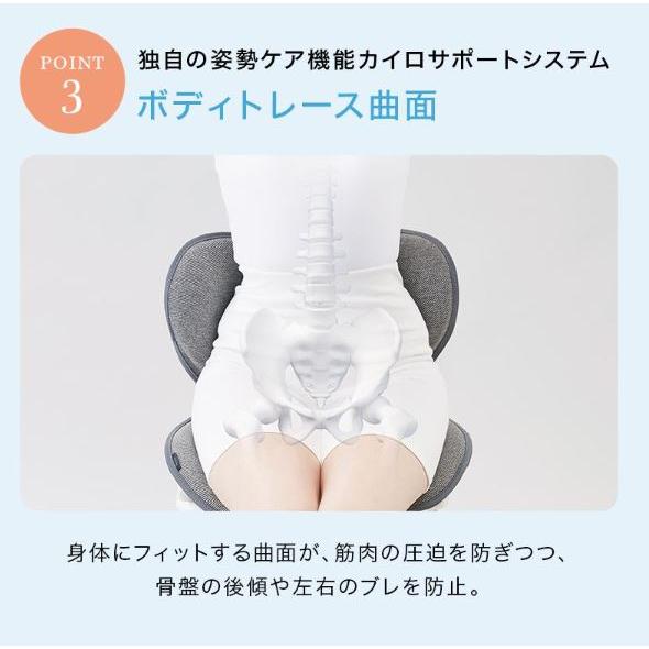 MTG Style Standard スタイルスタンダード 椅子 クッション 腰痛緩和