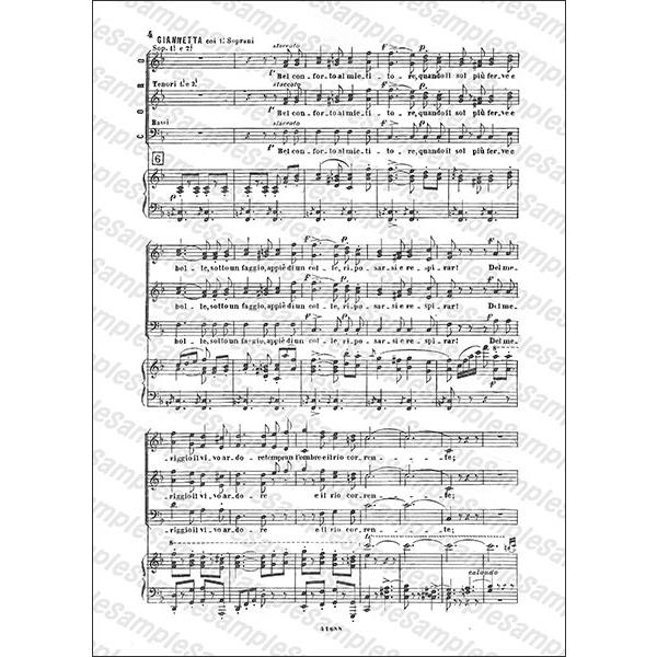 楽譜 G.ドニゼッティ／愛の妙薬（ヴォーカル・スコア）（ヴォーカル