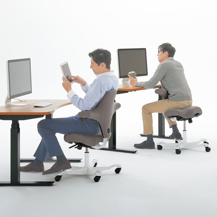 正規輸入品】HAG Capisco ホーグ カピスコ オフィスチェア デスク