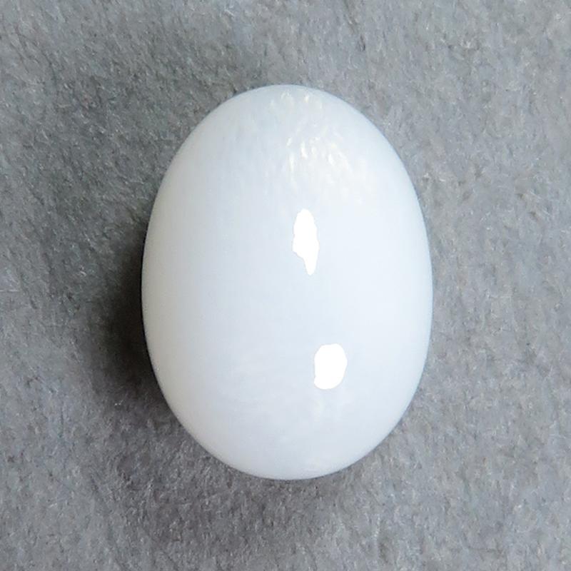 トリダクナパール(シャコ真珠)(1.92ct) : ジェムインターネットTOKYO