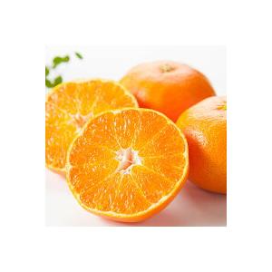 バーゲンSALE 甘平 (かんぺい) みかん 5kg 訳あり 規格外 傷あり 家庭