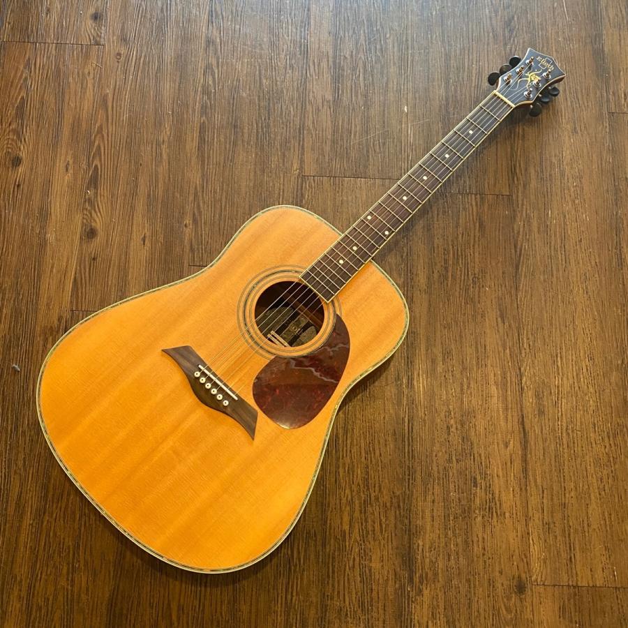 Elioth B305 Acoustic Guitar エリオス アコースティックギター