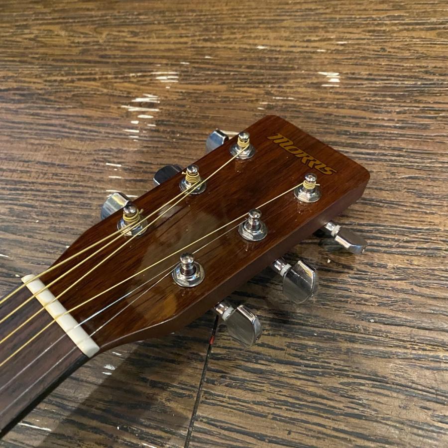Morris MD-256TS Acoustic Guitar アコースティックギター モーリス