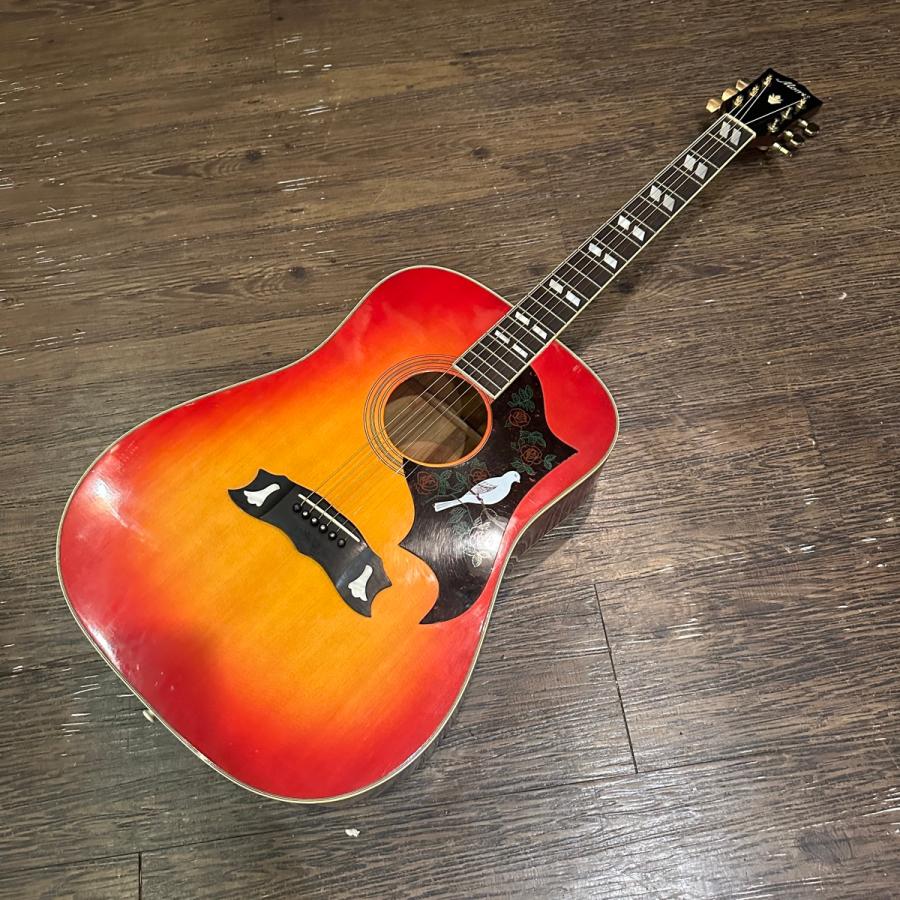 Morris Morris MWD-03 Acoustic Guitar アコースティックギター