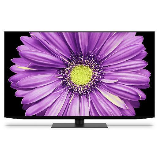 シャープ 4T-C55DQ2[テレビ]AQUOS 55V型4K有機ELテレビ : いーぐる