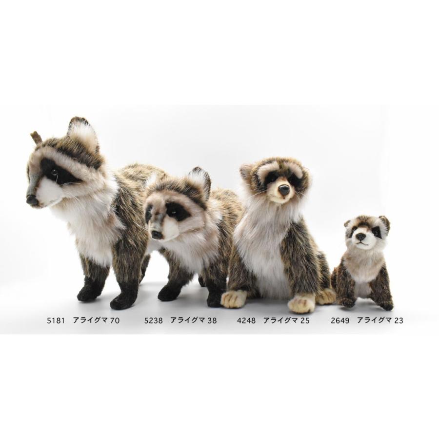 HANSA BH2649 アライグマ あらいぐま くま ぬいぐるみ リアル : Dear