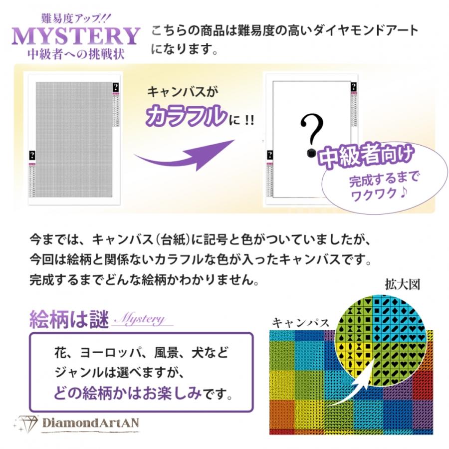 A3サイズ】ミステリーアート 図柄不明のダイヤモンドアート