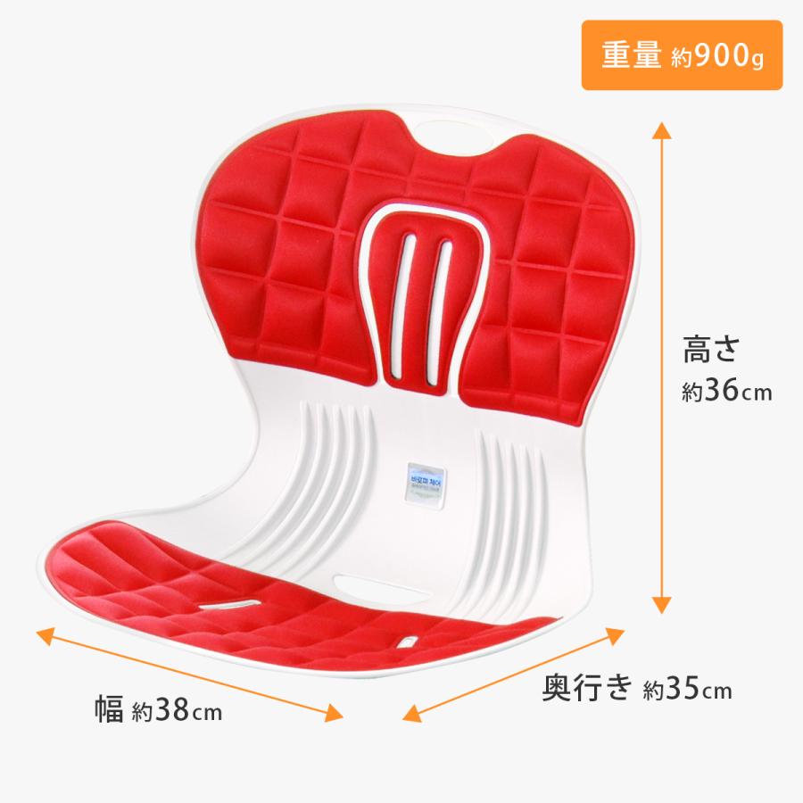 ピン セスジ 椅子 綺麗 姿勢 サポート 韓国 新感覚 美姿勢 スタイル
