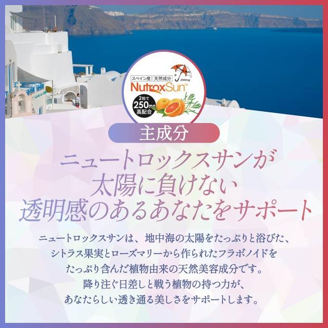 BEーMAX ビーマックス ザ サン 30粒 BE-MAX the SUN 紫外線対策