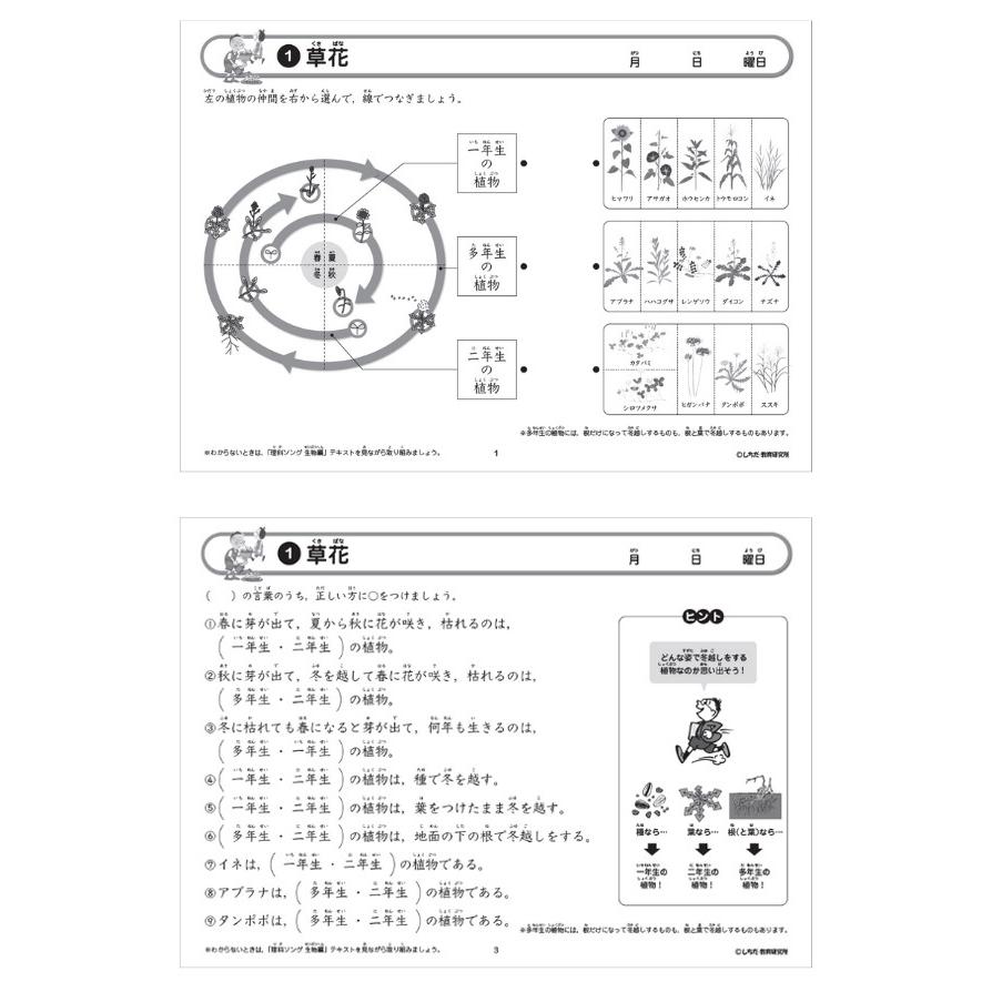 七田式プリント 七田式 社会・理科ソングプリント 5科目セット 正規