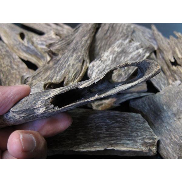 ベトナム産高級栽培沈香【中高ランク】5g量り売り サンプル 沈香 沈水