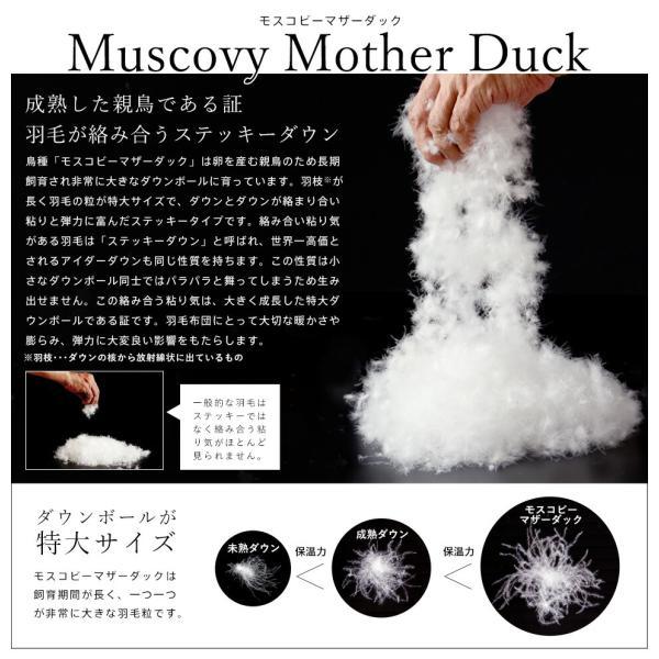 羽毛布団 シングル ホワイトマザーダック95％ 440DP 京都産 専門店品質