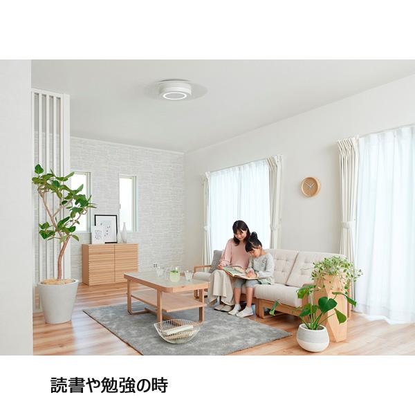 IRIS OHYAMA（アイリスオーヤマ） CEA-A12DLP LEDシーリングライト 12