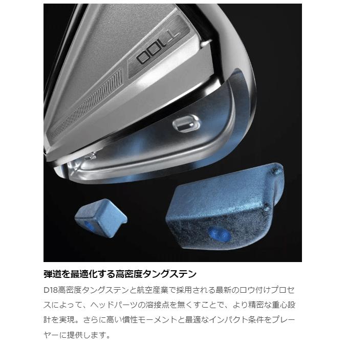 Titleist（タイトリスト） 日本正規品 T100 アイアン スチールシャフト