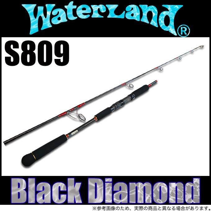 WaterLand（ウォーターランド） ブラックダイヤモンド S809