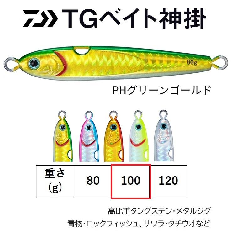 DAIWA（ダイワ） ダイワ/DAIWA TGベイト神掛 100g メタルジグ