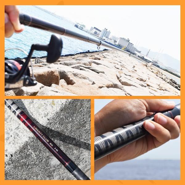 DAIWA（ダイワ） リバティクラブ 磯風 3号-53遠投・K 振出 サビキ ウキ