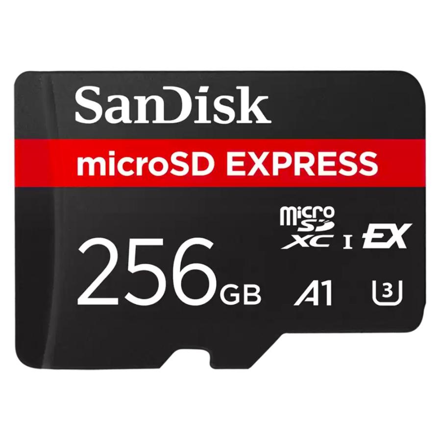 SanDisk（サンディスク） microSD Express 256GB for Nintendo Switch2