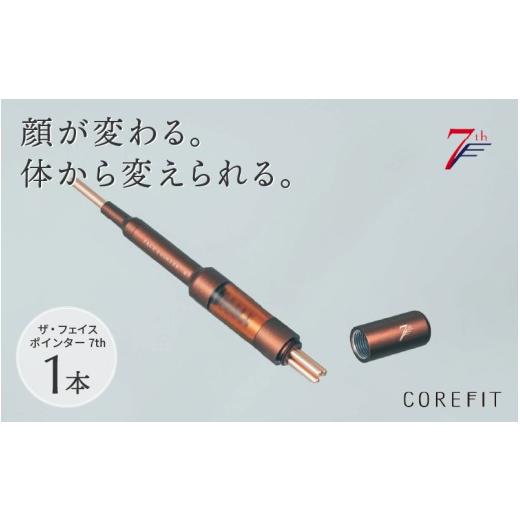 ふるさと納税 美容 福井県 鯖江市 数量限定 The FACE POiNTER 7th