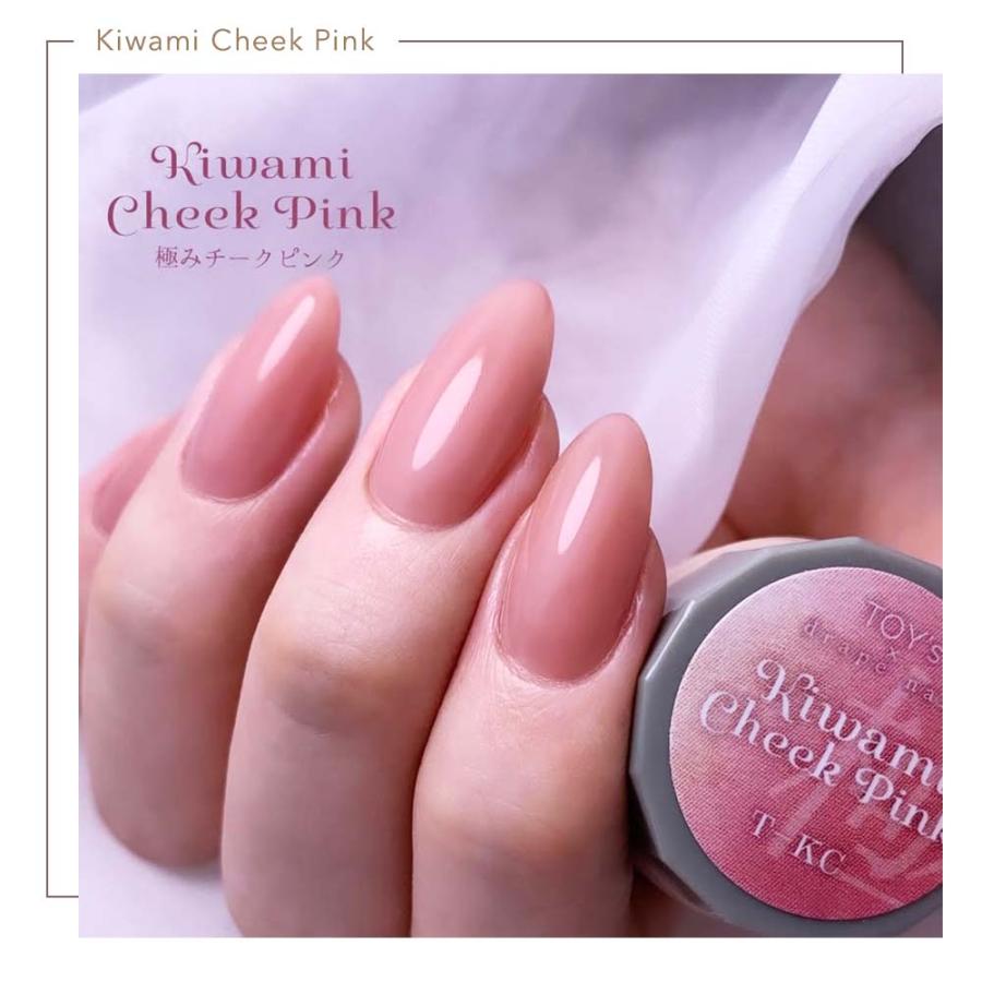 TOY's × INITY カラージェル 極みシリーズ 3色セット 5g Rie先生