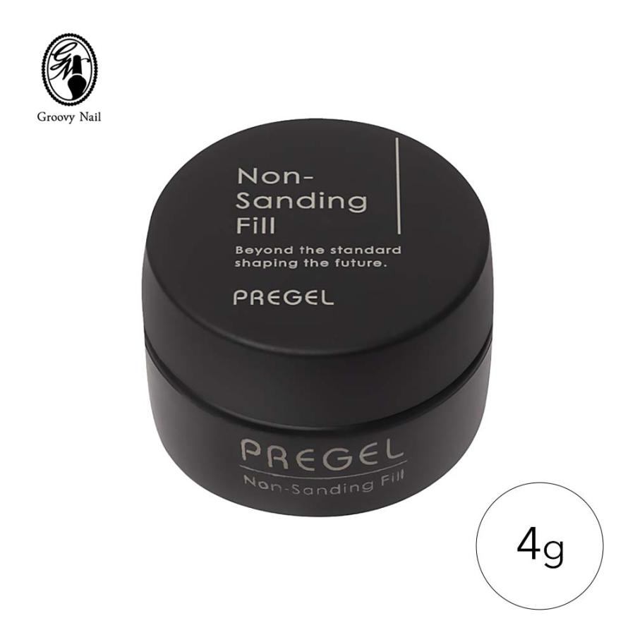 PREGEL プリジェル ノンサンディングフィル ベースジェル 4g