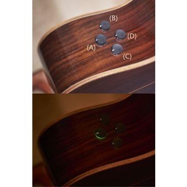 YAMAHA（ヤマハ） [※お取り寄せ商品] YAMAHA AC5M ARE 【VN