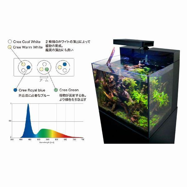 レッドシー 送料無料（北海道・沖縄除く） シェル2 フレッシュ