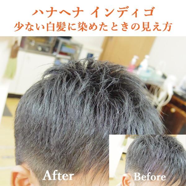 ヘナ ハナヘナ hana henna インディゴ ミックスハーブ 100g 各1個送料