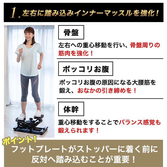 AEROLIFE（エアロライフ） ステッパー 不可調整 THE MAX20 ステッパー