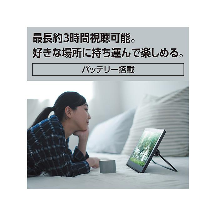 プライベート・ビエラ 9時間限定 Panasonic ポータブルテレビ UN