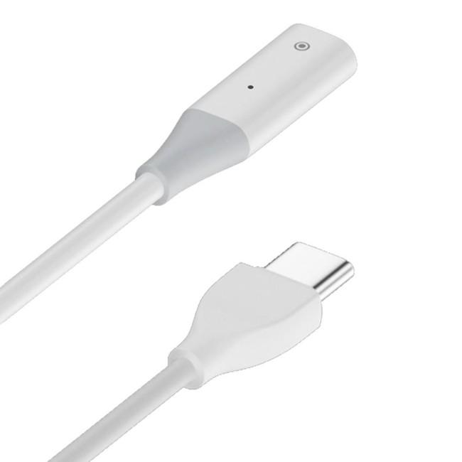 Apple Pencil 充電ケーブル 50cm 第1世代 給電 LED ( Type-C