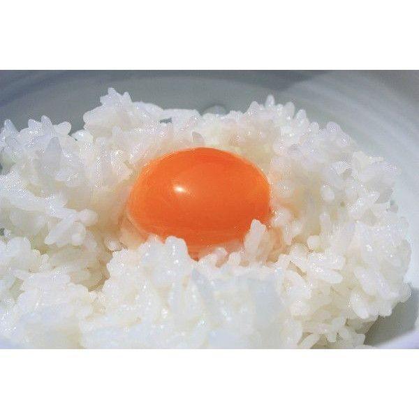 菊ちゃんのたまごかけごはんセット（2個セット）菊ちゃんたまご : 菊