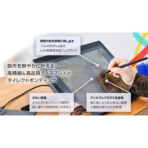 ワコム 液晶ペンタブレット Wacom Cintiq 24 (DTK246) DTK246K4C