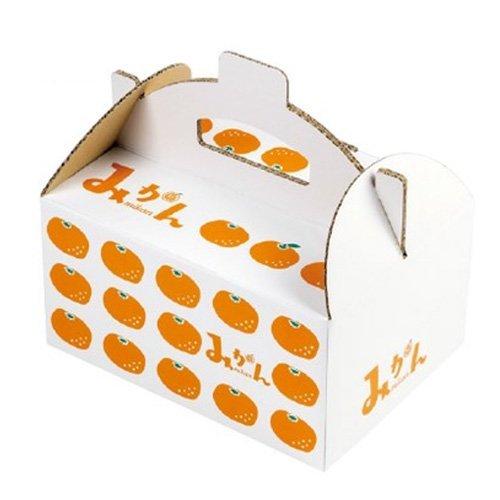 ヤマニパッケージ みかん箱 L-2505 イラストみかん手提 60 255×178