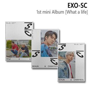 ☆初回特典☆ EXO-SC セフン＆チャニョル (EXO) ミニ1集 アルバム What