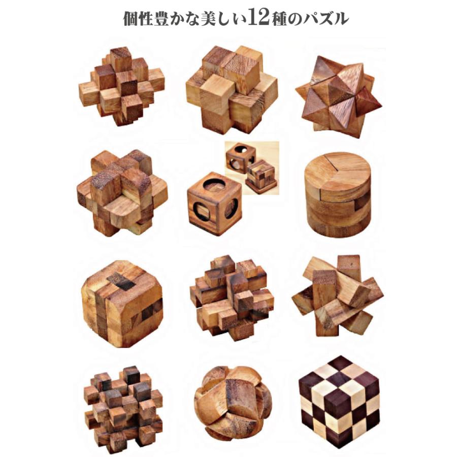 ウッドパズル12個セット 高難易度パズル 組み立てパズル 木製パズル