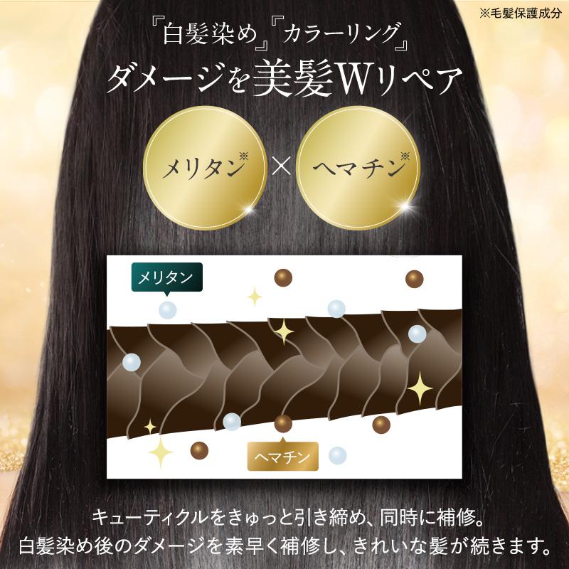 KAMIKA カミカ シャンプーセット KAMIKA 2本 10％オフ クリーム