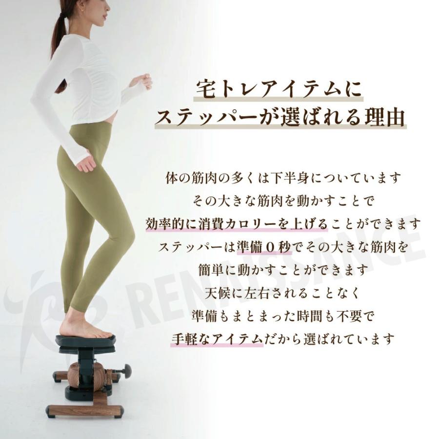 Re 【ツイストステッパー正規品】ツイストエアロステッパーPremium