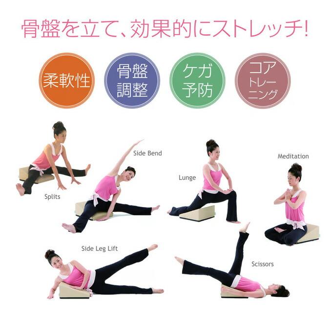 サンテプラス フレックスクッション（本体のみ） : ルネサンスYahoo!店