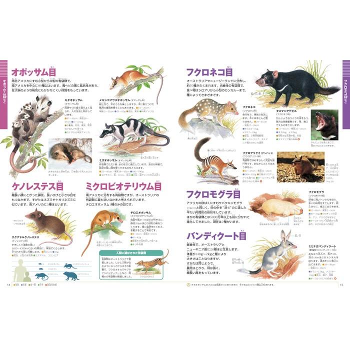 小学館の図鑑NEO) [新版] 動物 DVDつき : 枚方 蔦屋書店 Yahoo!店