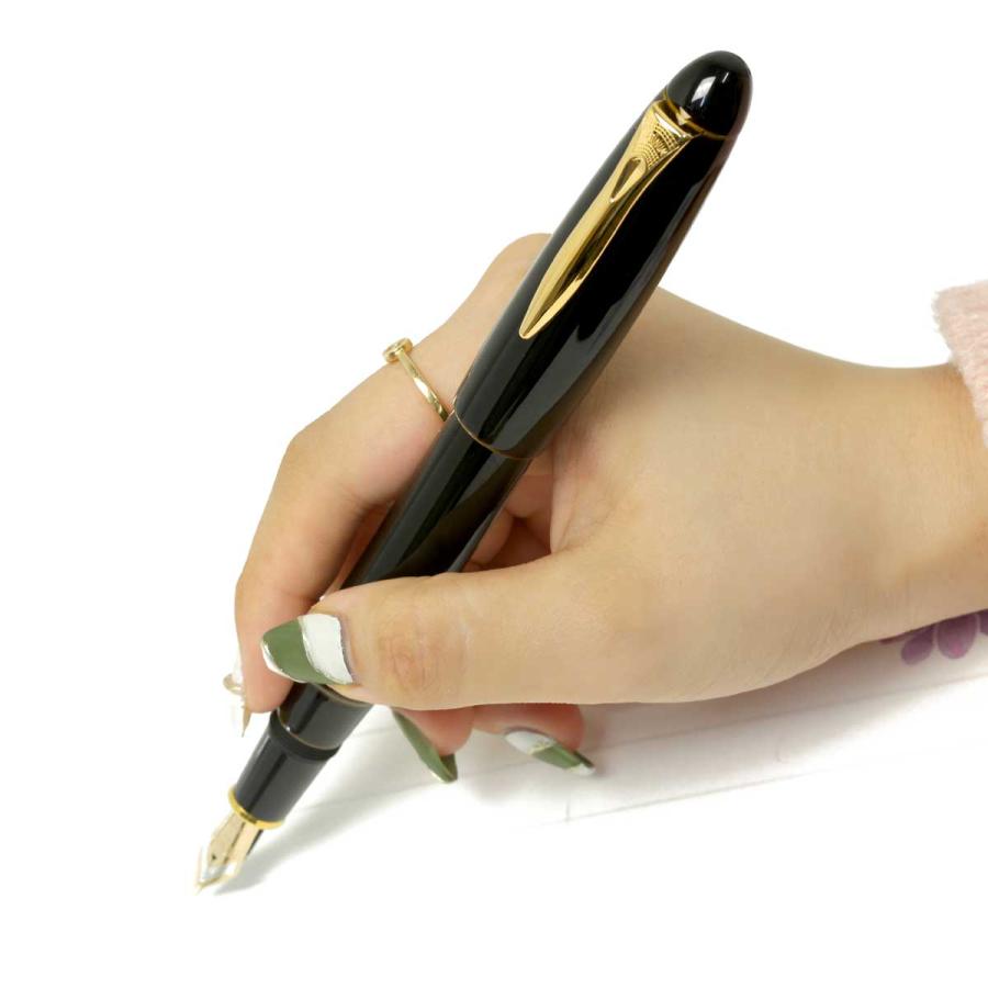 プラチナ万年筆 万年筆 プラチナ萬年筆 PLATINUM 出雲 溜塗り PIZ