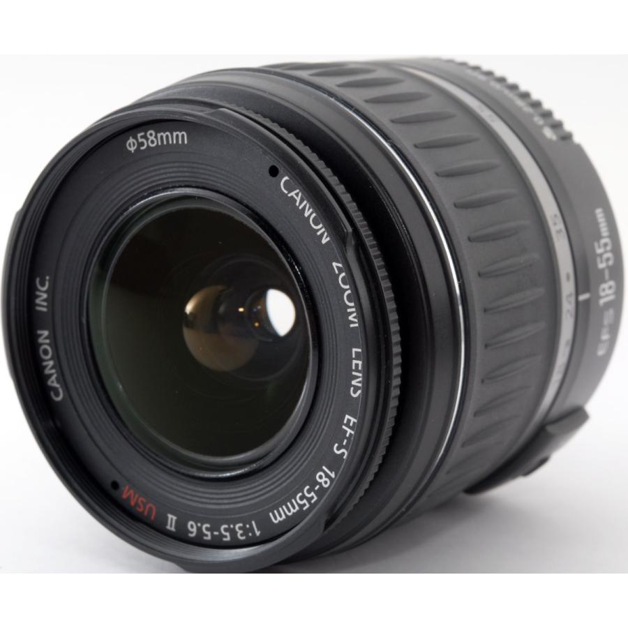 EOS Kiss キヤノン デジタル一眼 CANON KISS デジタル N シルバー