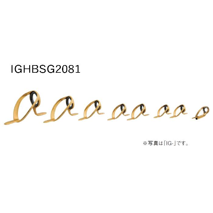 Fuji IGHBSG2081 中大物(ゴールド)セット ガイドセット トップガイド