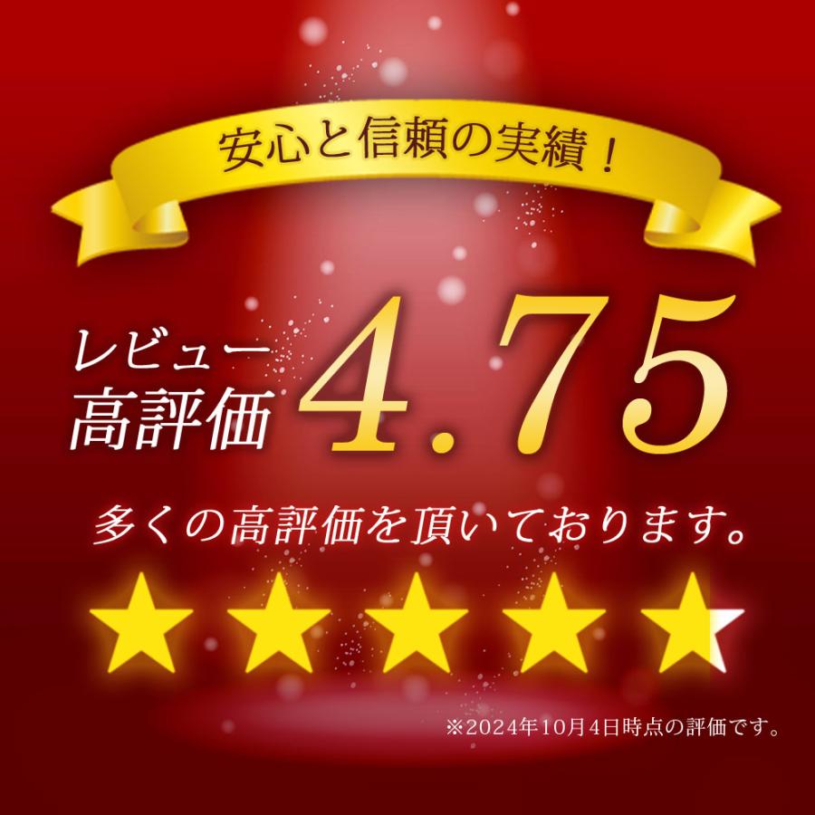 カーバッテリー プレミアムゴールドシリーズ 国産車用 補水不要