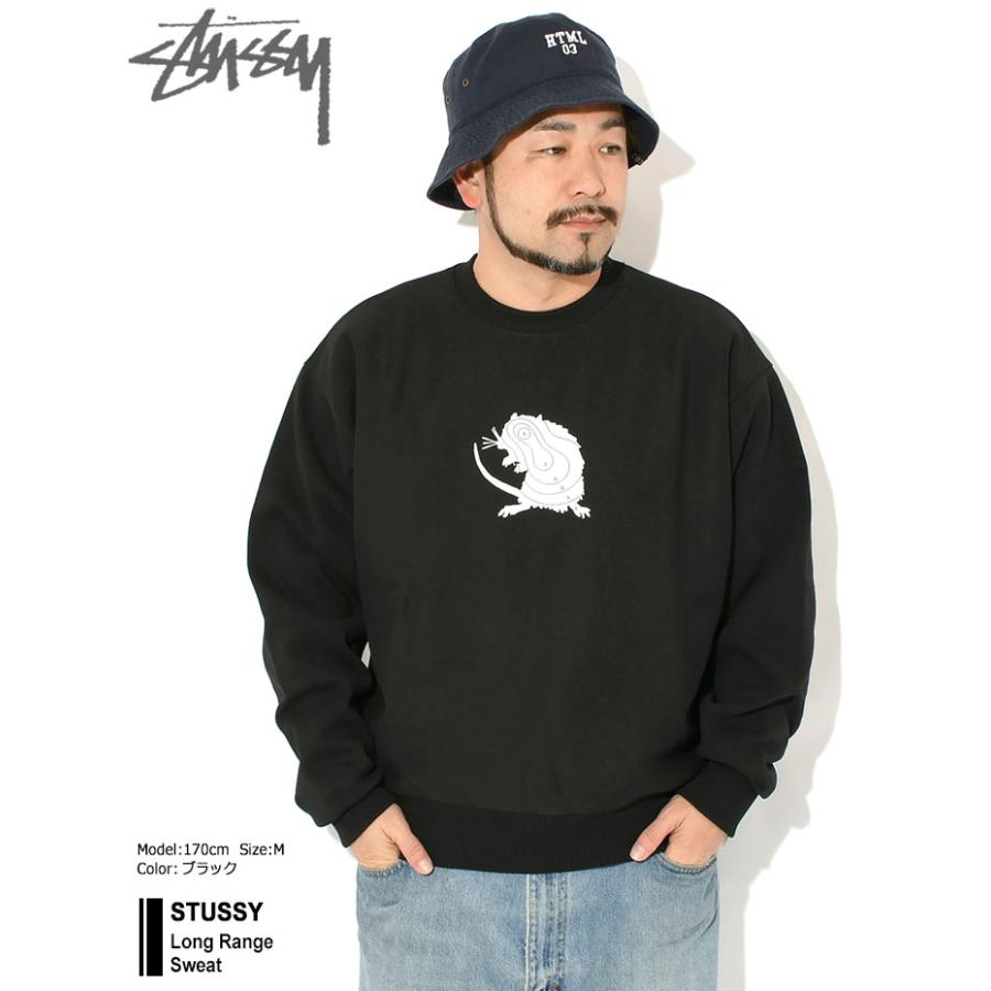 STUSSY（ステューシー） トレーナー メンズ Long Range ( stussy sweat