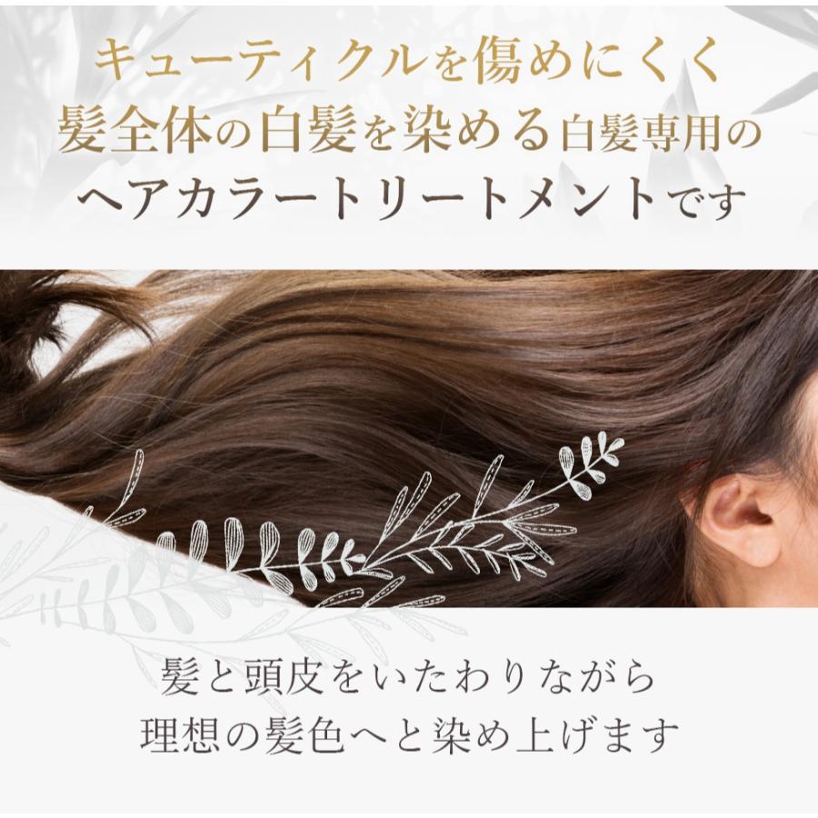 白髪染め 女性用 トリートメント ノンジアミン 女性 ヘアカラー